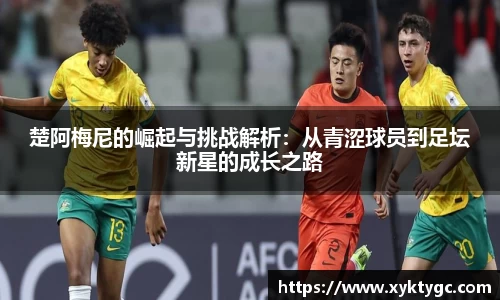 米乐YY易游